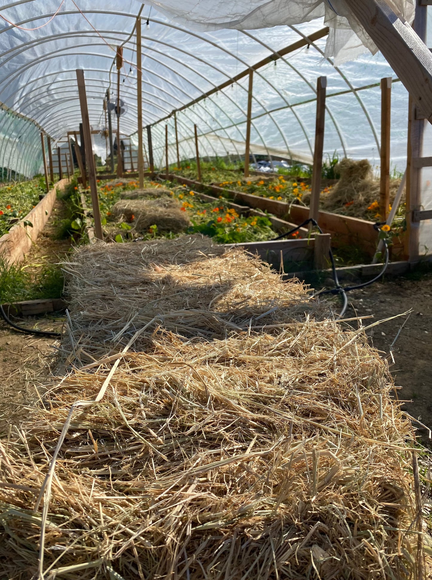 Holistic Horticulture Class Series: Winter Soil Wellness (Part 8)