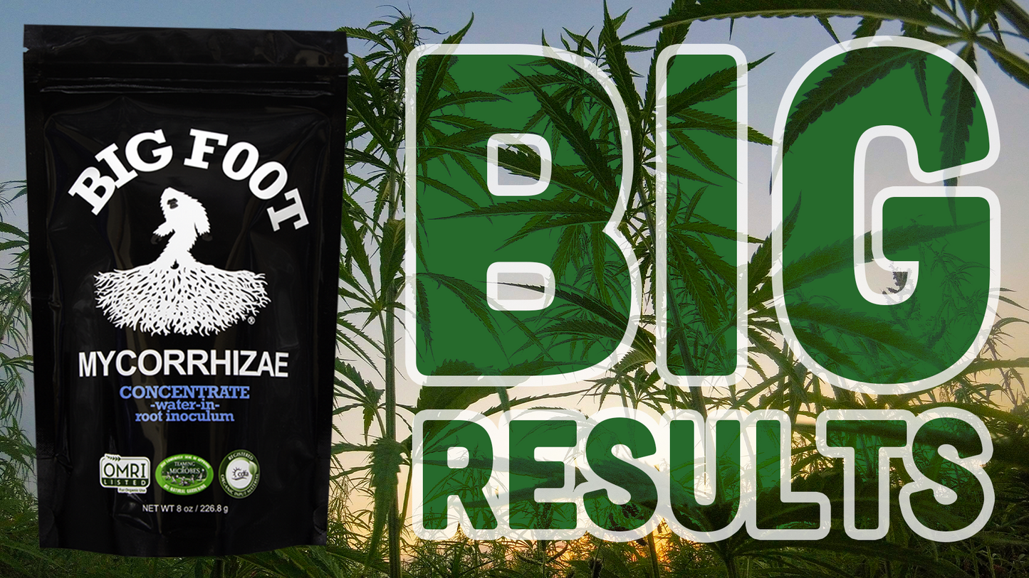 Big Foot Mycorrhizae Concentrate