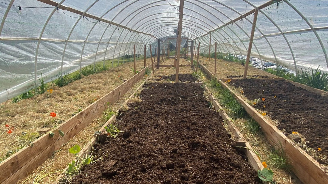 Preparing Your Garden For Next Season: A Guide To Soil Health And Pest Management