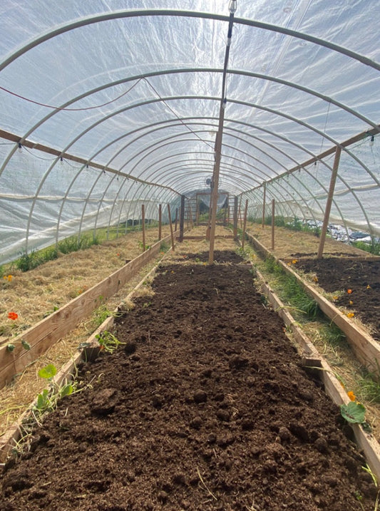 Holistic Horticulture Class Series: Winter Soil Wellness (Part 8)