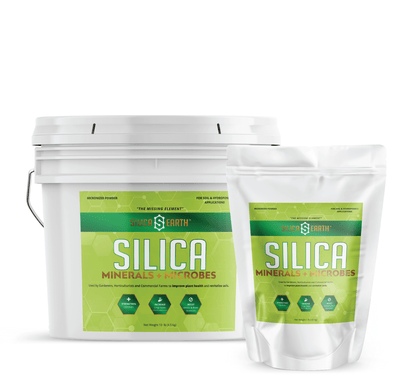 Silica Earth - Volcanic Silica Minerals + Microbes