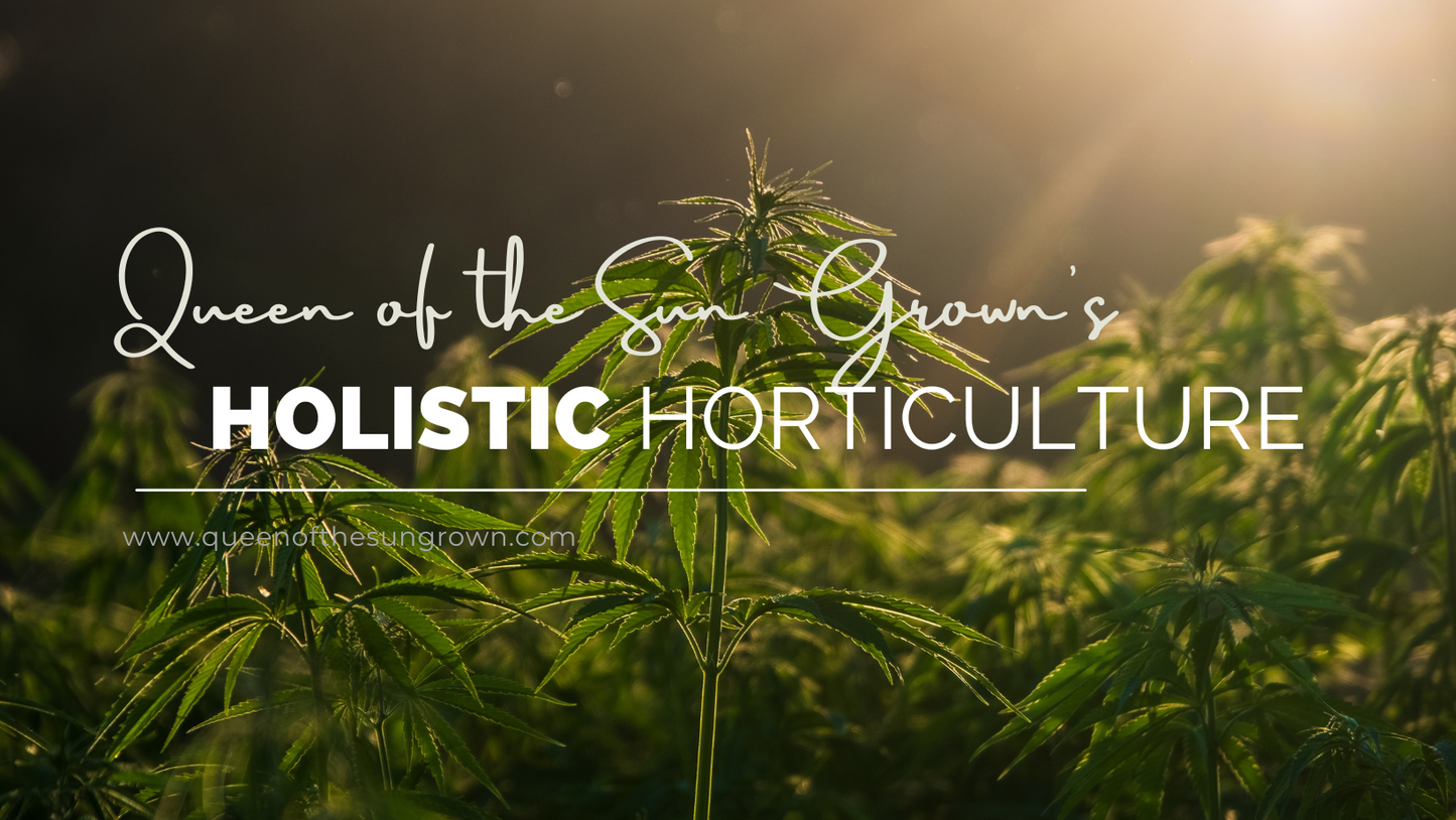 Holistic Horticulture Class Series: How to Grow Big Buds Sustainably (Part 2)