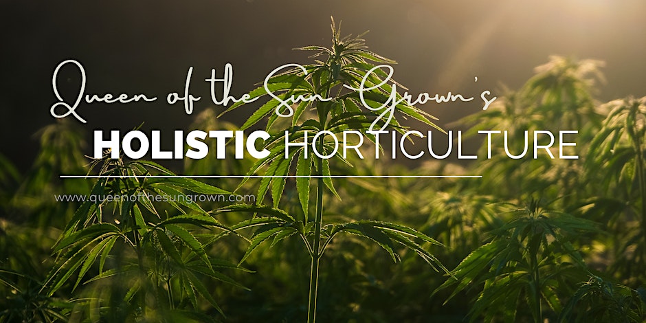 Holistic Horticulture Class Series: Harvest Year-Round: DIY Light Deprivation (Part 4)