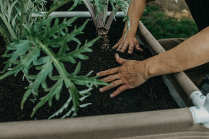 Grassroots Living Soil Raised Beds