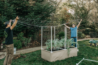 Grassroots Living Soil Raised Beds