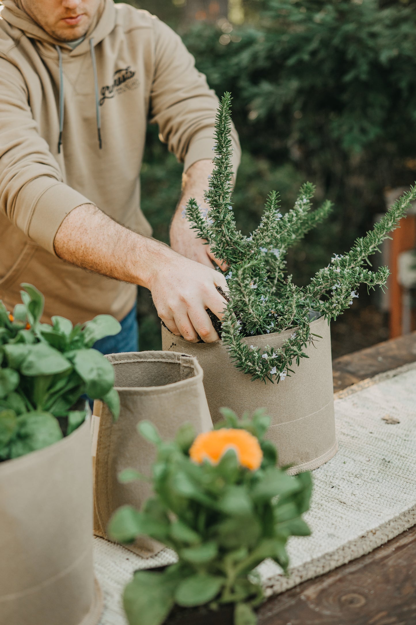 Grassroots Living Soil Pots