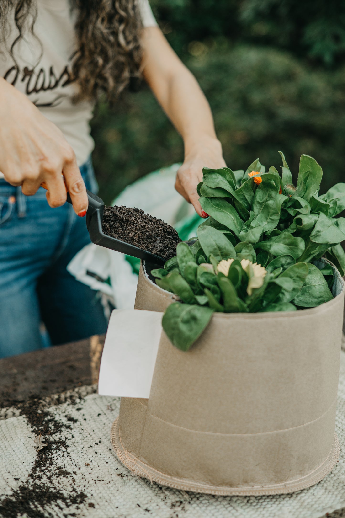 Grassroots Living Soil Pots