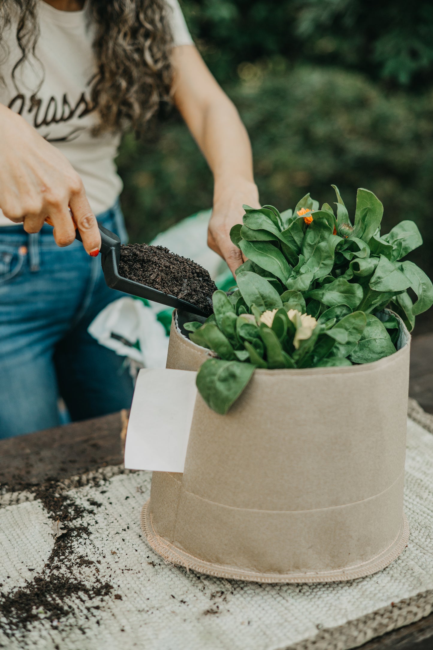 Grassroots Living Soil Pots