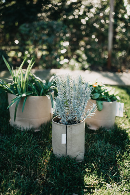 Grassroots Living Soil Pots