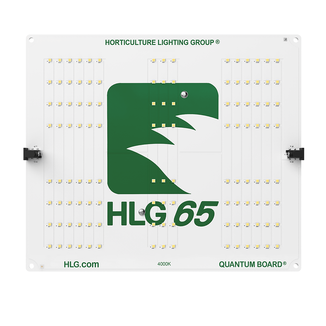 HLG 65 V2