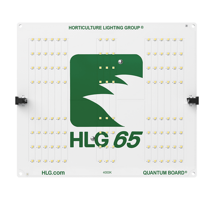 HLG 65 V2