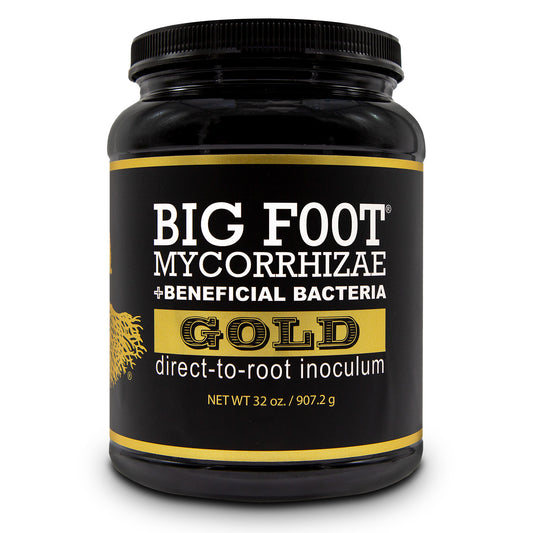 Big Foot Gold