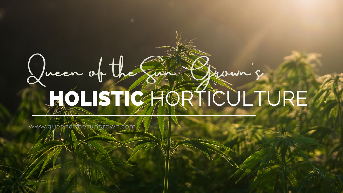 Holistic Horticulture Class Series: Start Your Sun Grown Garden Today (Part 1)